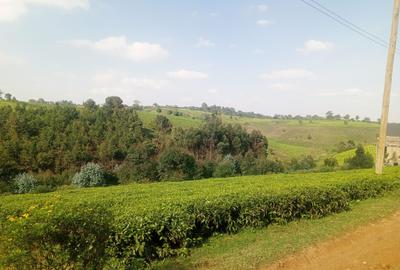 4.8 ac Land in Limuru - 4