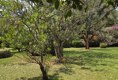 4 Bed House with En Suite in Runda - 2