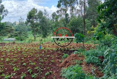 0.125 ac Land at Off Ruaka Banana Road - 4