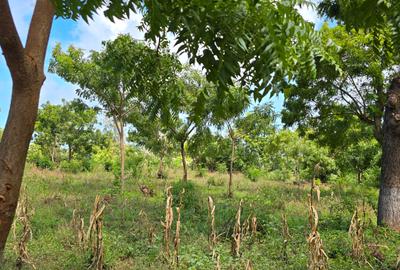 7 ac Land at Kikambala - 4