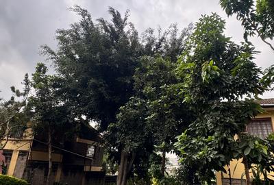 5 Bed Townhouse with En Suite at Langata - 3