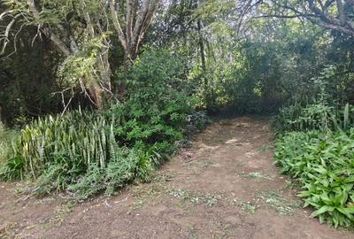 5 ac Land in Karen - 3