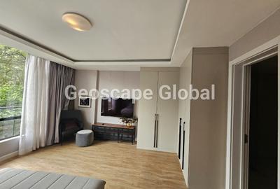 Furnished 3 Bed Apartment with En Suite in Spring Valley - 4