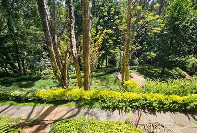 5 Bed Townhouse with En Suite in Kitisuru - 3