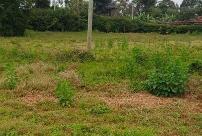 Land in Karen