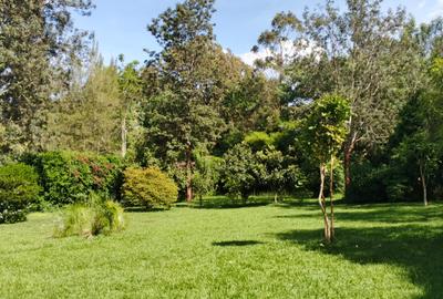 5 Bed Townhouse with Staff Quarters in Karen - 4