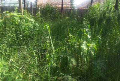 0.113 ac Residential Land in Ongata Rongai - 2