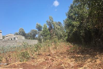 0.25 ac Land at Kerarapon Drive - 3