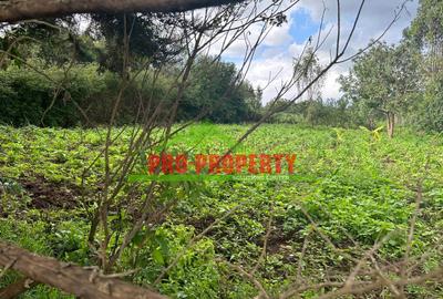 0.1 ha Land at Thigio - 3