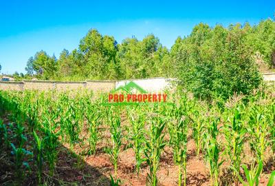 0.05 ha Residential Land at Kamangu - 2