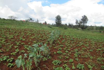 4.5 ac Land at Kibiko - 4