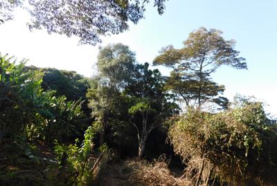 Residential Land in Karen Hardy - 4
