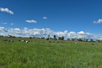 Land in Joska - 2