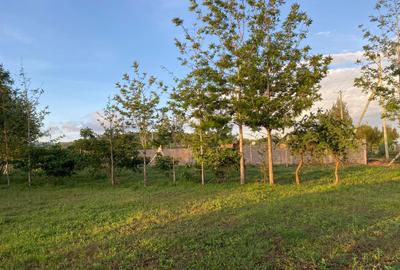 Land at Mua Hills - 4