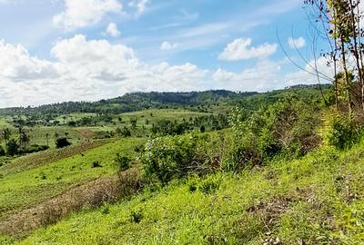 Land at Vipingo - 4