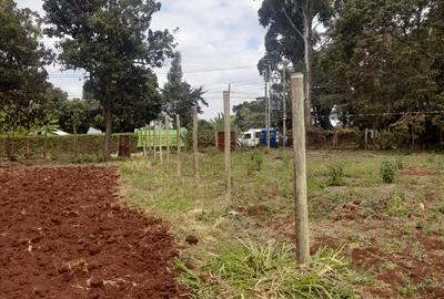 Commercial Land at Banana Town - 4