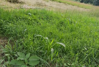 Residential Land at Kerarapon Road