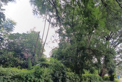 Residential Land at Karen - 2