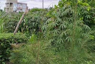 0.125 ac Residential Land at Kitengela Milimani - 3