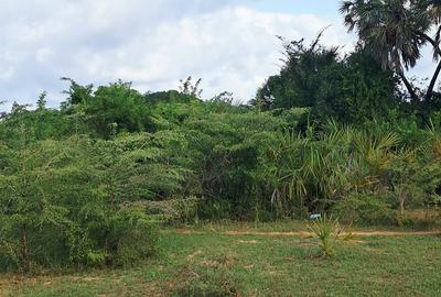 Land at Tiwi Near Diani South Coast - 3