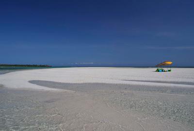 Land at Funzi Island - 2