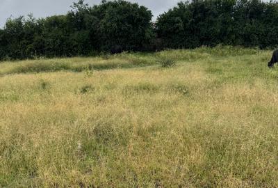 Land at Kyumbi - 2
