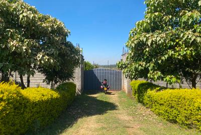 6 Bed House with En Suite at Kiambu Road - 2
