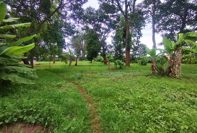 0.5 ac Land at Mumbi Road