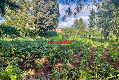 0.06 ha Commercial Land at Thogoto - 4