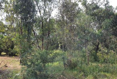 Land in Karen - 2