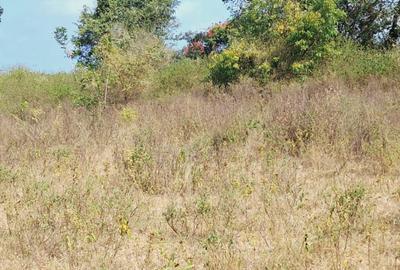 Land in Kilifi - 4