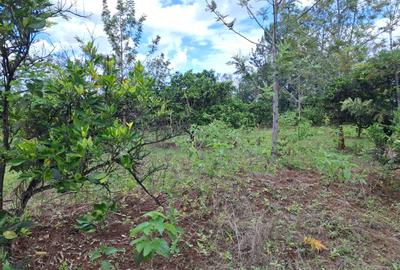 0.045 ha Land in Murang'a County - 3