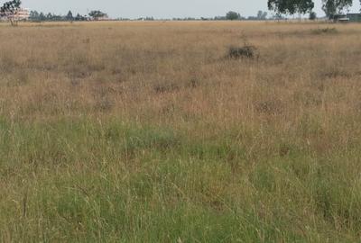 Land in Katani
