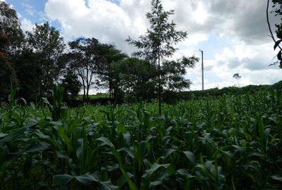 Land at Kirawa Road - 3