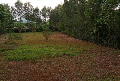 0.5 ac Land at Ololua - 4