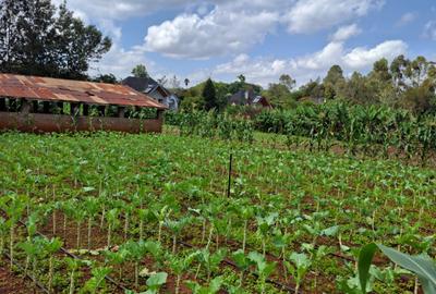 0.5 ac Residential Land in Karen