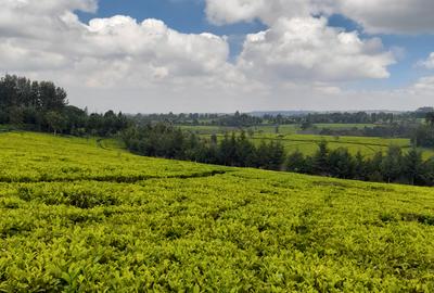 0.5 ac Land at Riara Ridge Tigoni - 2