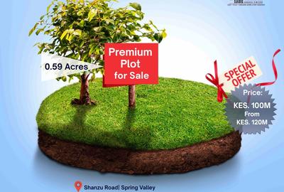 0.59 ac Land in Spring Valley
