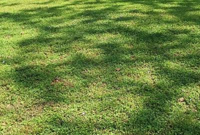 0.5 ac Residential Land at Kirawa Rd - 3