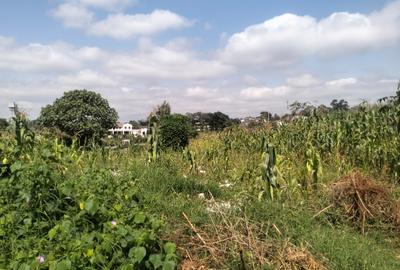 0.5 ac Land in Kitisuru - 2