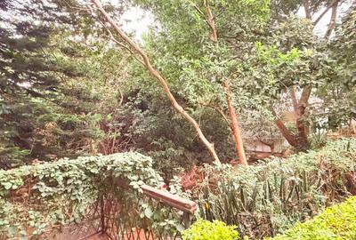 Land in Spring Valley - 4
