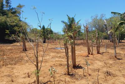 Land at Near Munarani - 4