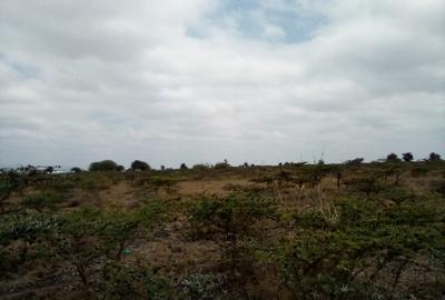 Land at Umma University - 3