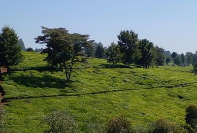 5 ac Land at Tigoni