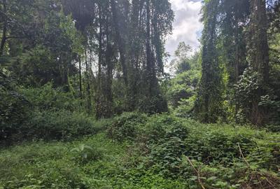 Residential Land in Kitisuru