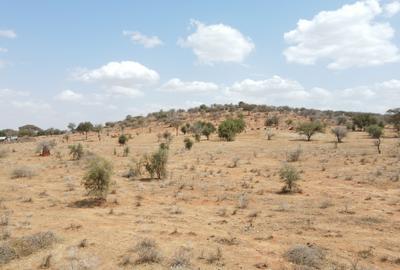 0.25 ac Land at Amboseli Road - 4