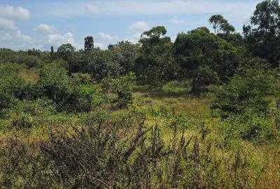 100 ac Land at Kenol Marwa Highway - 3