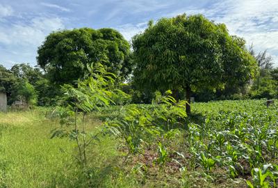 Land in Kikambala