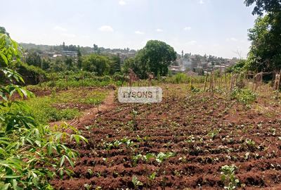 Residential Land in Thome - 2