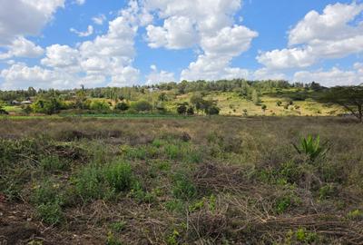 Land at Matasia